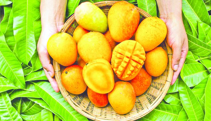 আমের উপকারিতা 