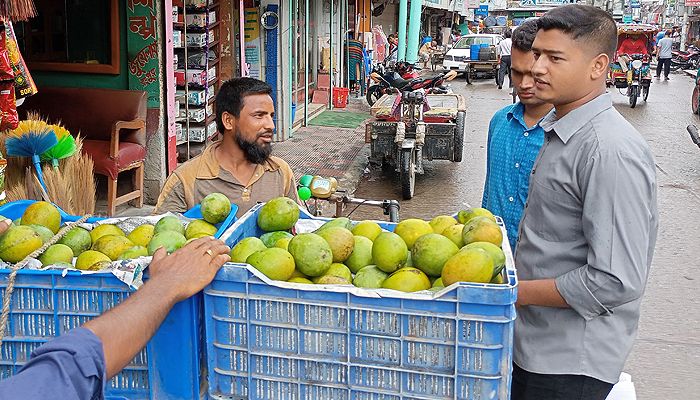 বাজার মাতাচ্ছে হাঁড়িভাঙ্গা আম 