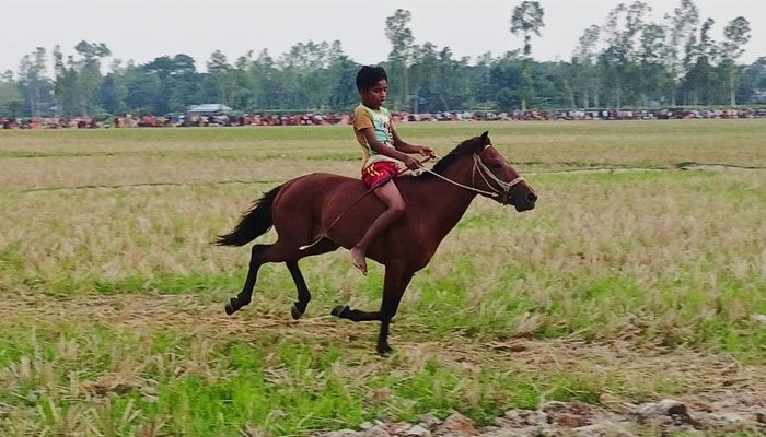 ঘোড়দৌড়