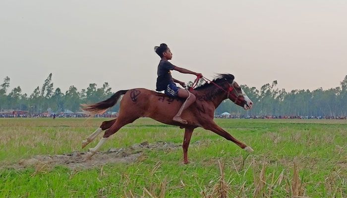 ঘোড়দৌড়