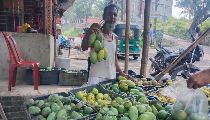 কাপ্তাইয়ে মৌসুমি ফলের ছড়াছড়ি, দামেও সাশ্রয়ী