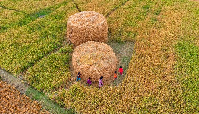 খড়ের স্তূপ