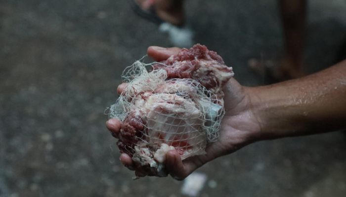 ছুড়ে দেওয়া মাংস নিতে কাড়াকাড়ি