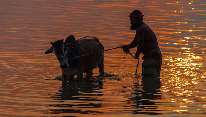 দীর্ঘতম দিনের গোধূলি বেলায়