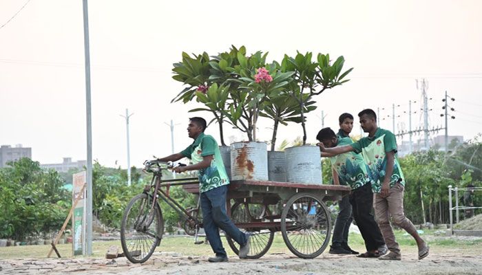 বৃক্ষ মেলা ২০২৩