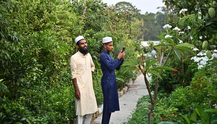 বৃক্ষ মেলা ২০২৩