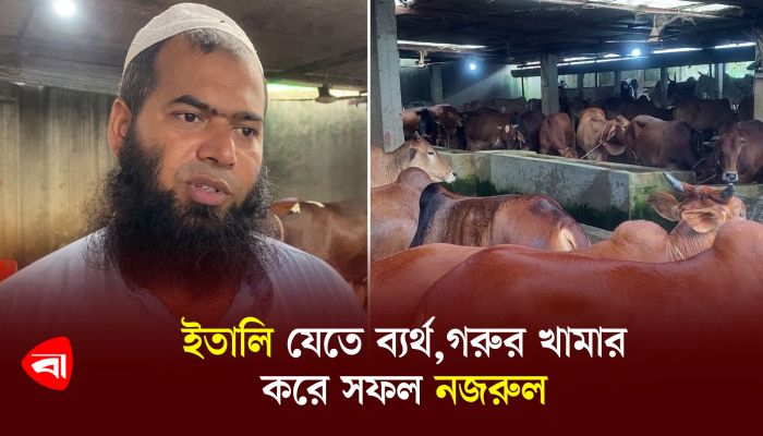ইতালি যেতে ব্যর্থ,গরুর খামার করে সফল নজরুল
