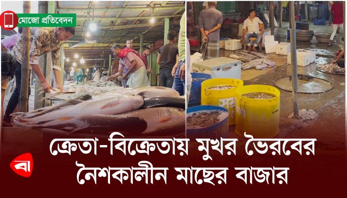 ক্রেতা-বিক্রেতায় মুখর ভৈরবের নৈশকালীন মাছের বাজার 
