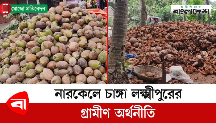 নারকেলে চাঙ্গা লক্ষ্মীপুরের গ্রামীণ অর্থনীতি 