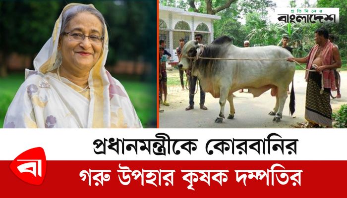 প্রধানমন্ত্রীকে কোরবানির গরু উপহার কৃষক দম্পতির