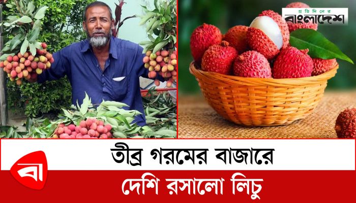 মধুমাসের রসালো ফল লিচুতে ভরপুর বাজার