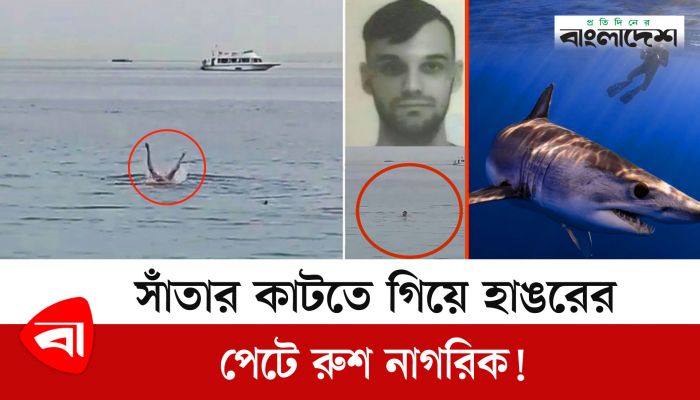 সাঁতার কাটতে গিয়ে হাঙরের পেটে রুশ নাগরিক! 