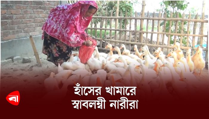 হাঁসের খামারে স্বাবলম্বী নারীরা