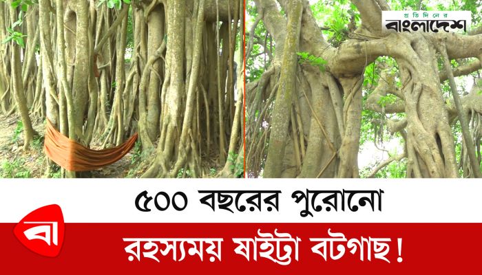 রহস্যেঘেরা বট-পাকুড়, বিয়ে হয়েছিল সাড়ে ৭ ভরি স্বর্ণে! 