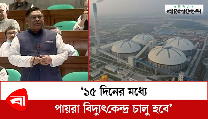  ১৫ দিনের মধ্যে পায়রা বিদ্যুৎকেন্দ্র চালু হবে : বিদ্যুৎ প্রতিমন্ত্রী