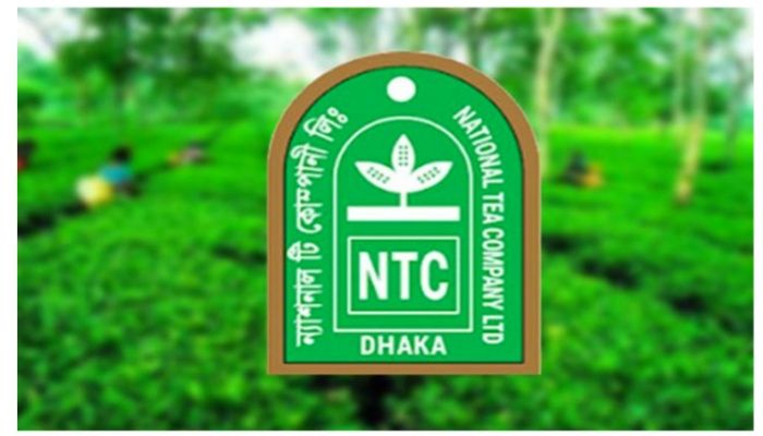 ন্যাশনাল টি’র নুতন শেয়ার ইস্যু স্থগিত