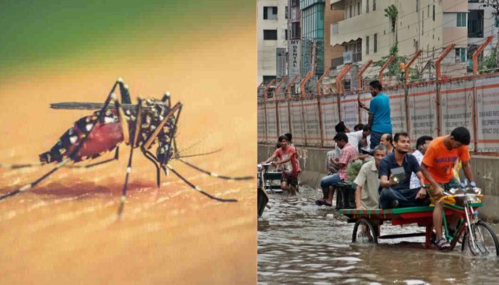 ডিএনসিসি কর্মীদের ছুটি বাতিল 