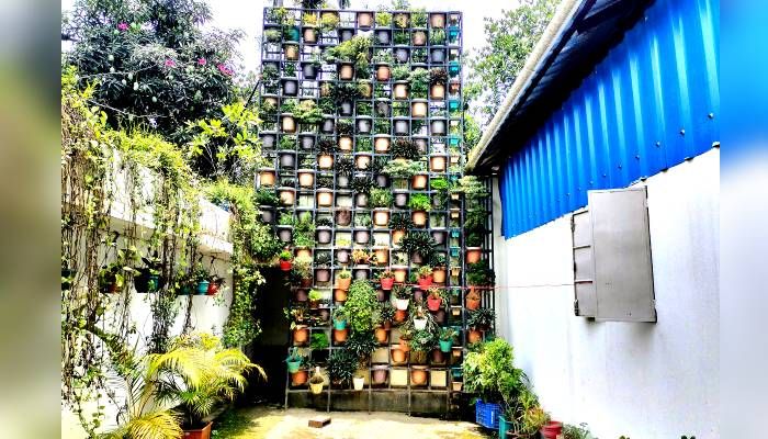 সবুজ কারখানা ‘আগর ফ্রেগরেন্স’