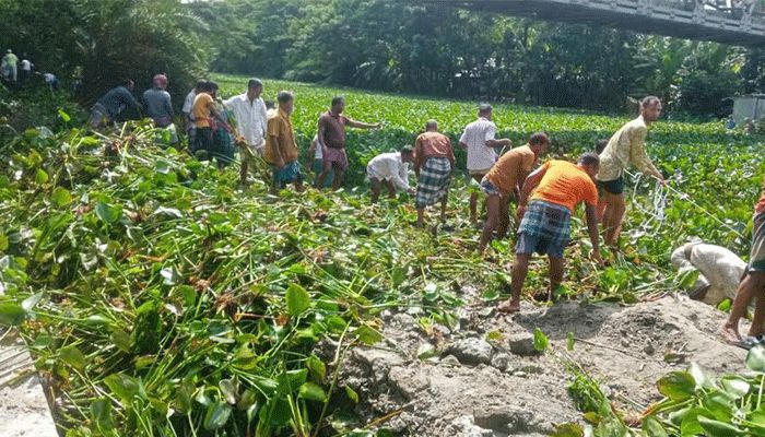 শরণখোলায় সবাই মিলে ২২ কিলোমিটার খালের কচুরিপানা অপসারণ