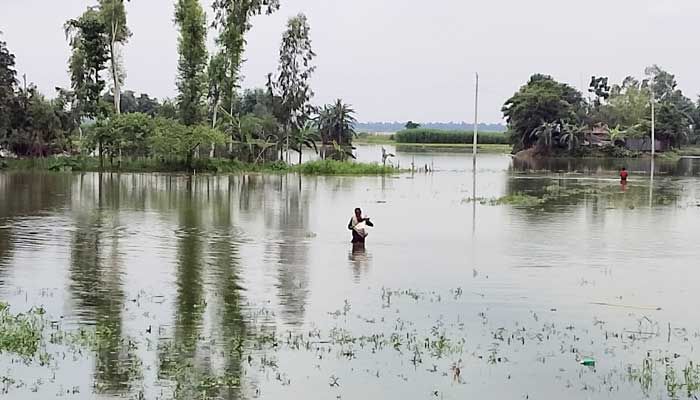 উজানের ঢলে বিপদসীমা ছাড়িয়েছে তিস্তার পানি