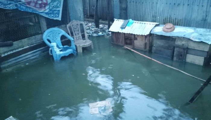ধামরাইয়ে টানা বর্ষণে বাসাবাড়িতে পানি