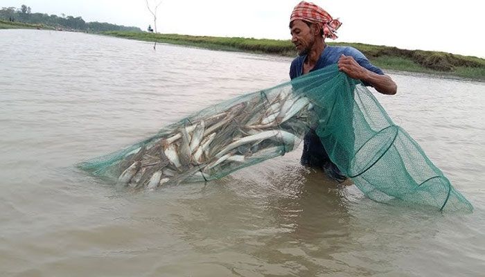 চায়না দুয়ারিতে ধ্বংস মৎস্যসম্পদ 