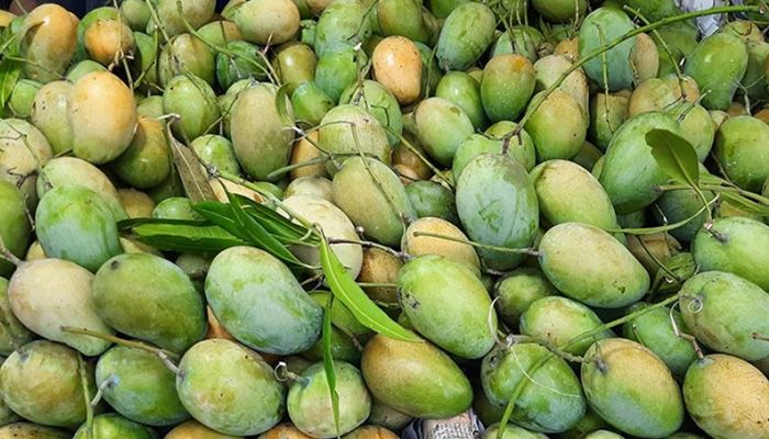 বাংলাদেশের আম্রপালির স্বাদ পেল ৩ দেশ