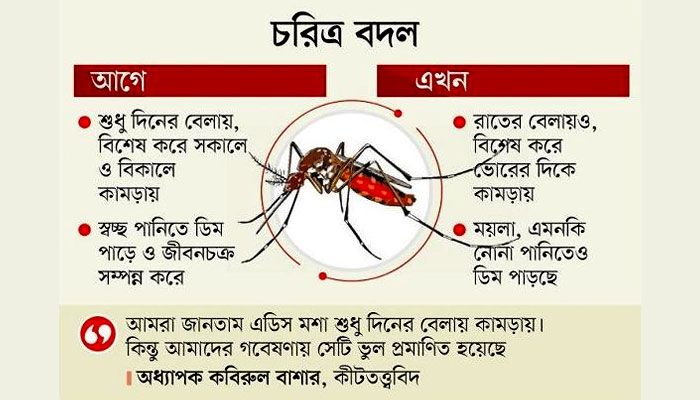 ফাইল ফটো