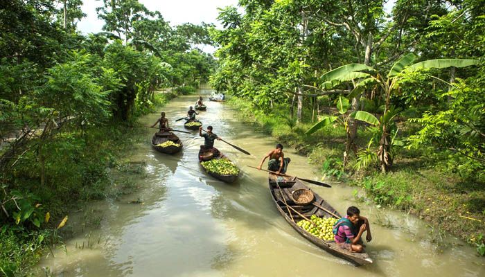 ভাসমান পেয়ারাবাজার