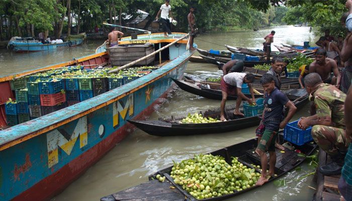 ভাসমান পেয়ারা বাজার