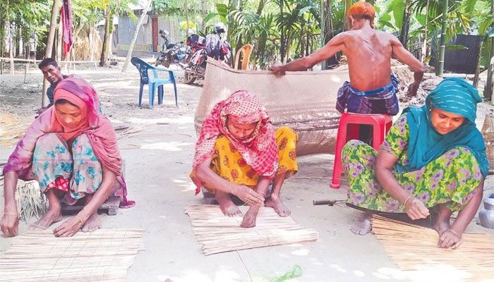 শেরপুরের শ্রীবরদী উপজেলার গোশাইপুর ইউনিয়নের দহেরপাড় গ্রামের প্রায় প্রতিটি বাড়িতেই এখন চাঁই তৈরির ধুম। প্রবা ফটো 