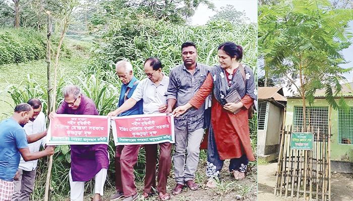 গাছ জানাবে মুক্তিযোদ্ধাদের গল্প