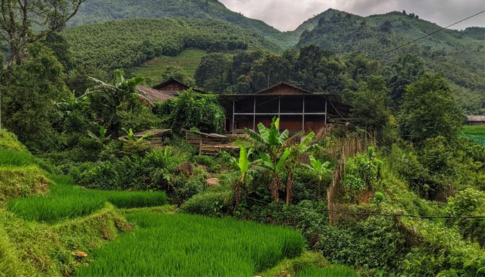 ছবির মতো সুন্দর গ্রাম লাউ চাই