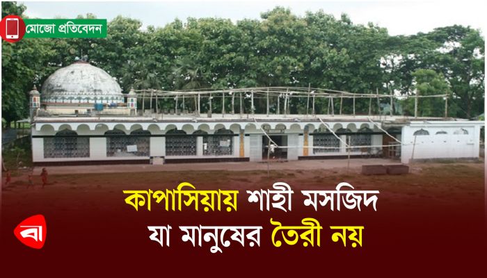 কাপাসিয়ায় শাহী মসজিদ  যা মানুষের তৈরী নয়