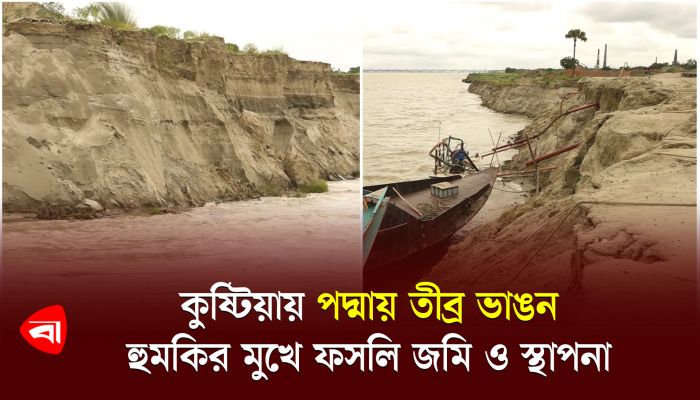  কুষ্টিয়ায় পদ্মায় তীব্র ভাঙন, হুমকির মুখে ফসলি জমি ও স্থাপনা