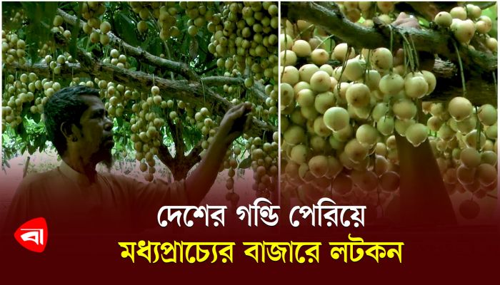 দেশের গণ্ডি পেরিয়ে মধ্যপ্রাচ্যের বাজারে লটকন