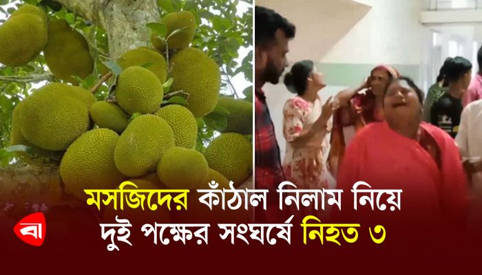 মসজিদের কাঁঠাল নিলাম নিয়ে দুই পক্ষের সংঘর্ষে নিহত ৩