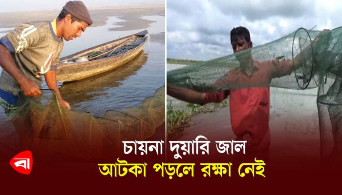 মাছ শিকারের ভয়ংকর চায়না দুয়ারি জাল, আটকা পড়লে রক্ষা নেই