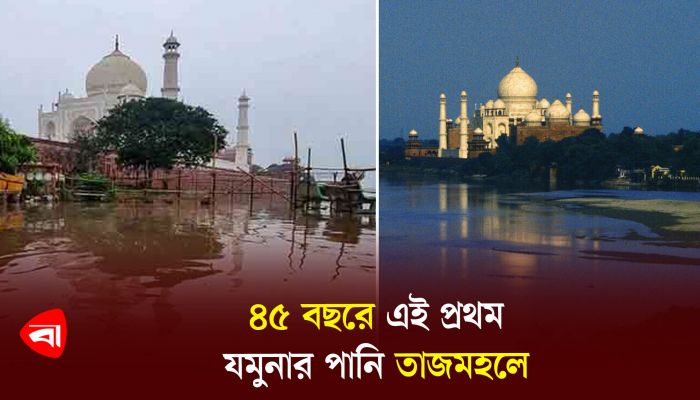 ৪৫ বছরে এই প্রথম যমুনার পানি তাজমহলে