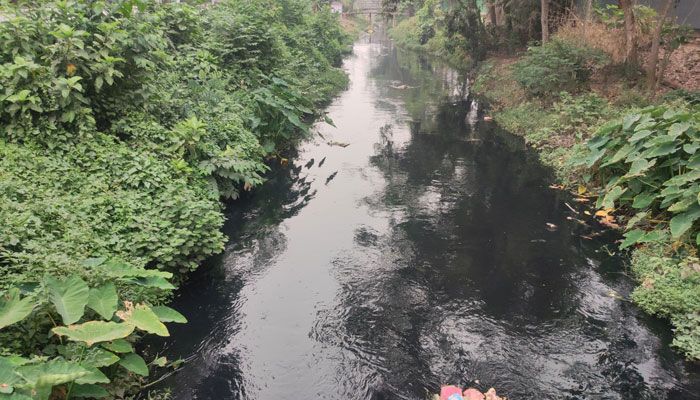 আগরতলার বিষাক্ত পানিতে বিপর্যস্ত সীমান্তের ১৫ গ্রাম