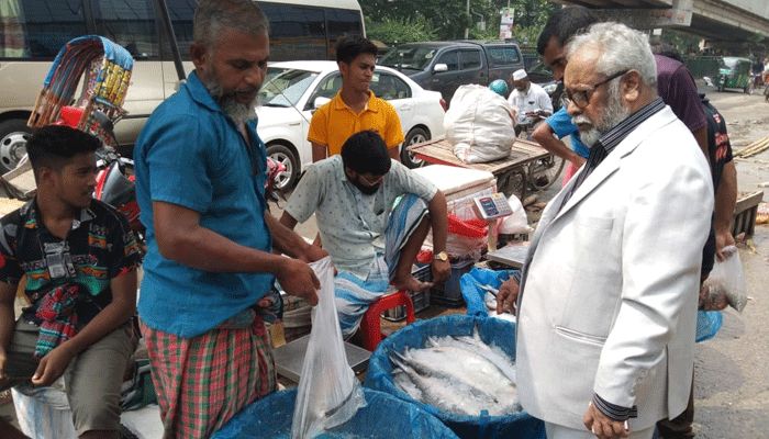 সরবরাহ বাড়লেও দাম কমেনি ইলিশের
