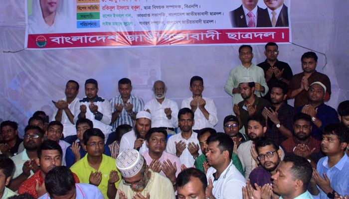 আওয়ামী লীগ গণতন্ত্রের লেবাস পরে আছে : মঈন খান