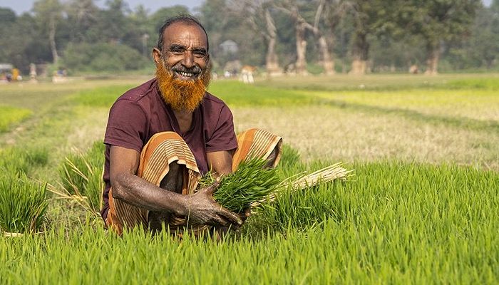 জুলাইয়ে দুই হাজার কোটি টাকার কৃষি ঋণ বিতরণ