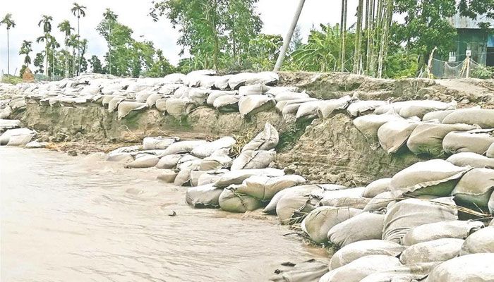 পাউবোর ‘নীরবতায়’ মেঘনায় তীব্র ভাঙন
