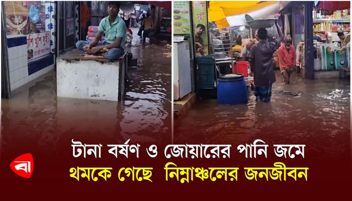 টানা বর্ষণ ও জোয়ারের পানি জমে থমকে গেছে নিম্নাঞ্চলের জনজীবন