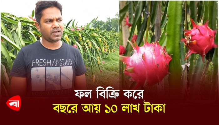 ফল বিক্রি করে বছরে আয় ১০ লাখ টাকা 