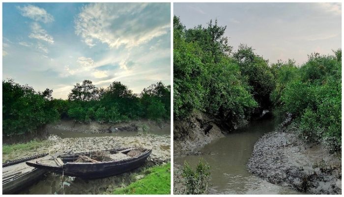 ছোট ক্যানেল ঢুকে গেছে গভীর বনে