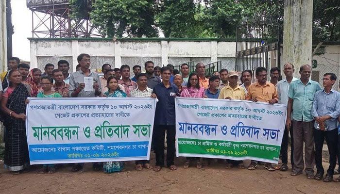ন্যূনতম মজুরি গেজেট বাতিল দাবি চা শ্রমিক-কর্মচারীদের