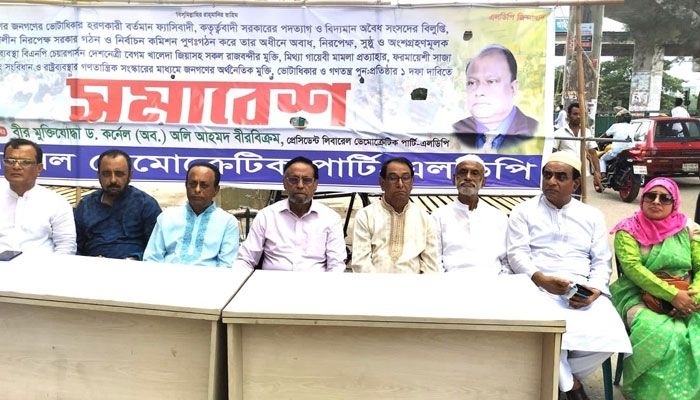 সরকার দেশকে অরাজকতা-দুর্নীতির দিকে ঠেলে দিয়েছে : কর্নেল অলি
