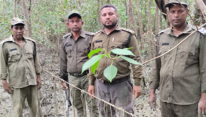 বনরক্ষীদের গুলিতে হরিণ শিকারি আহত